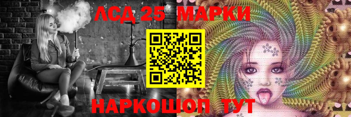 Псилоцибиновые грибы Михайловск