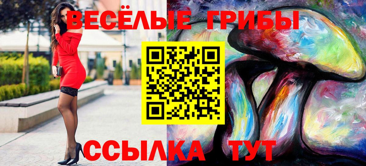 Галлюциногенные грибы мухоморы Михайловск