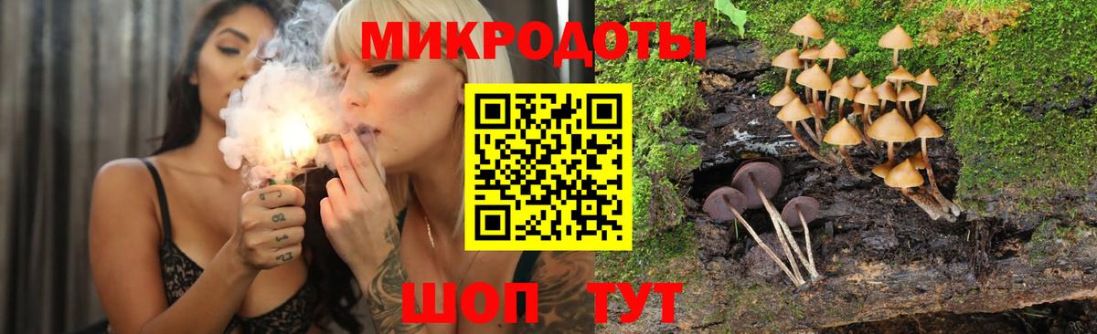 Михайловск  что такое   Вход с VPN  Галлюциногенные грибы мухоморы 